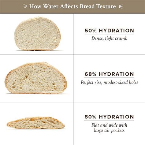 bread ratio of flour to water